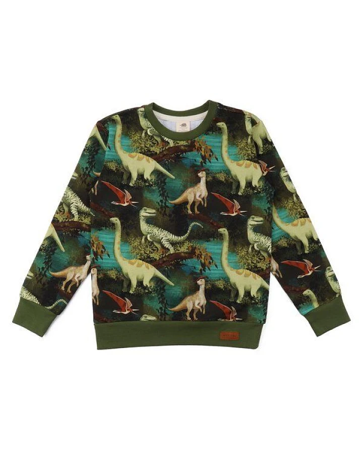 Kinder Sweatshirt GOTS zertifiziert, „Dinosaur Jungle“ Allover, grün, weich & elastisch – Walkiddy