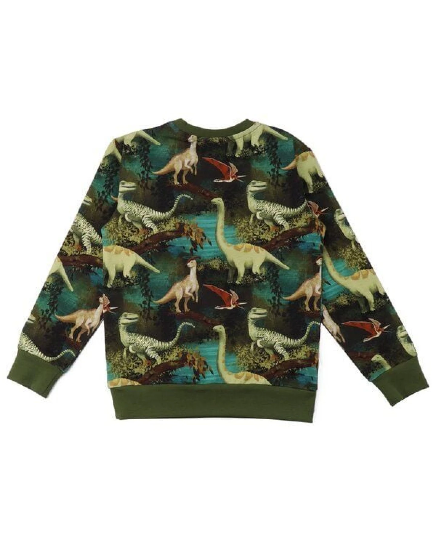Kinder Sweatshirt GOTS zertifiziert, „Dinosaur Jungle“ Allover, grün, weich & elastisch – Walkiddy – Ansicht 3