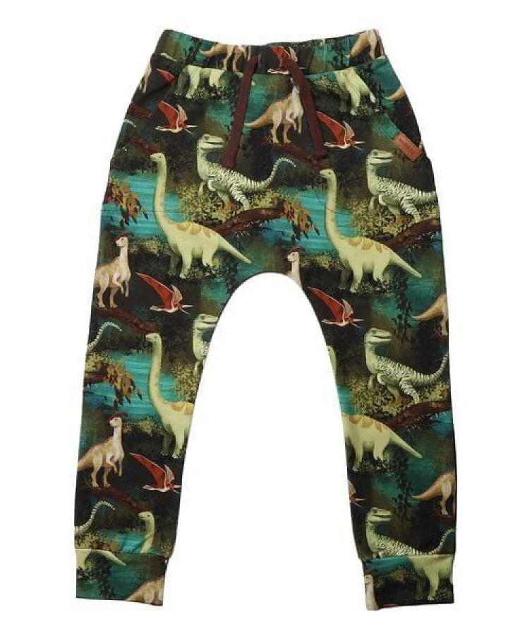 Kinder Jogginghose GOTS zertifiziert – Grün mit Dinosauriermuster, Bund mit Kordel, weich & bequem