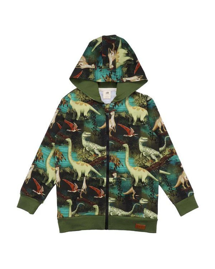 Kinder Sweatjacke GOTS zertifiziert – Grün mit Dinosauriermotiv, Kapuze & Reißverschluss