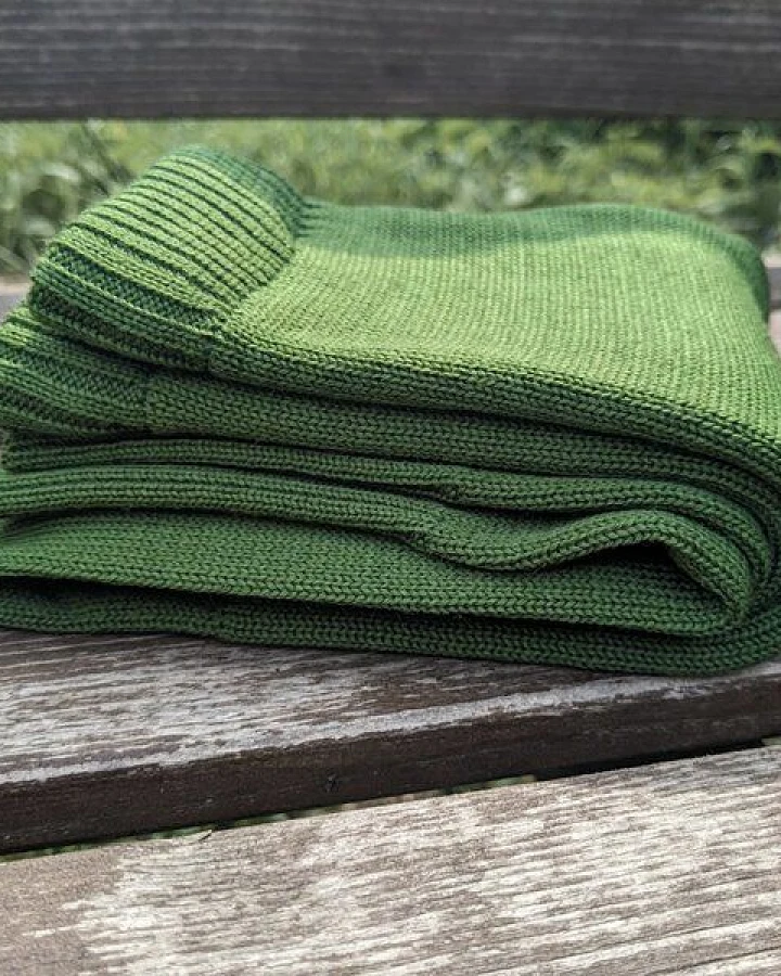 Zypresse