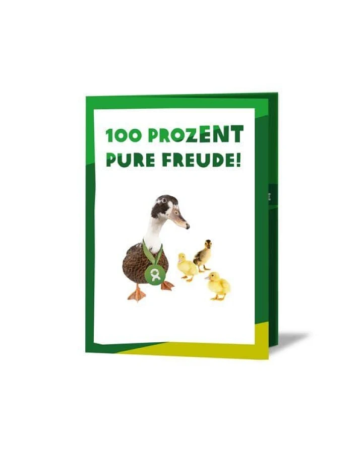 OxfamUnverpackt Spenden-Geschenk "Entenfamilie" (Grußkarte mit Magnet)