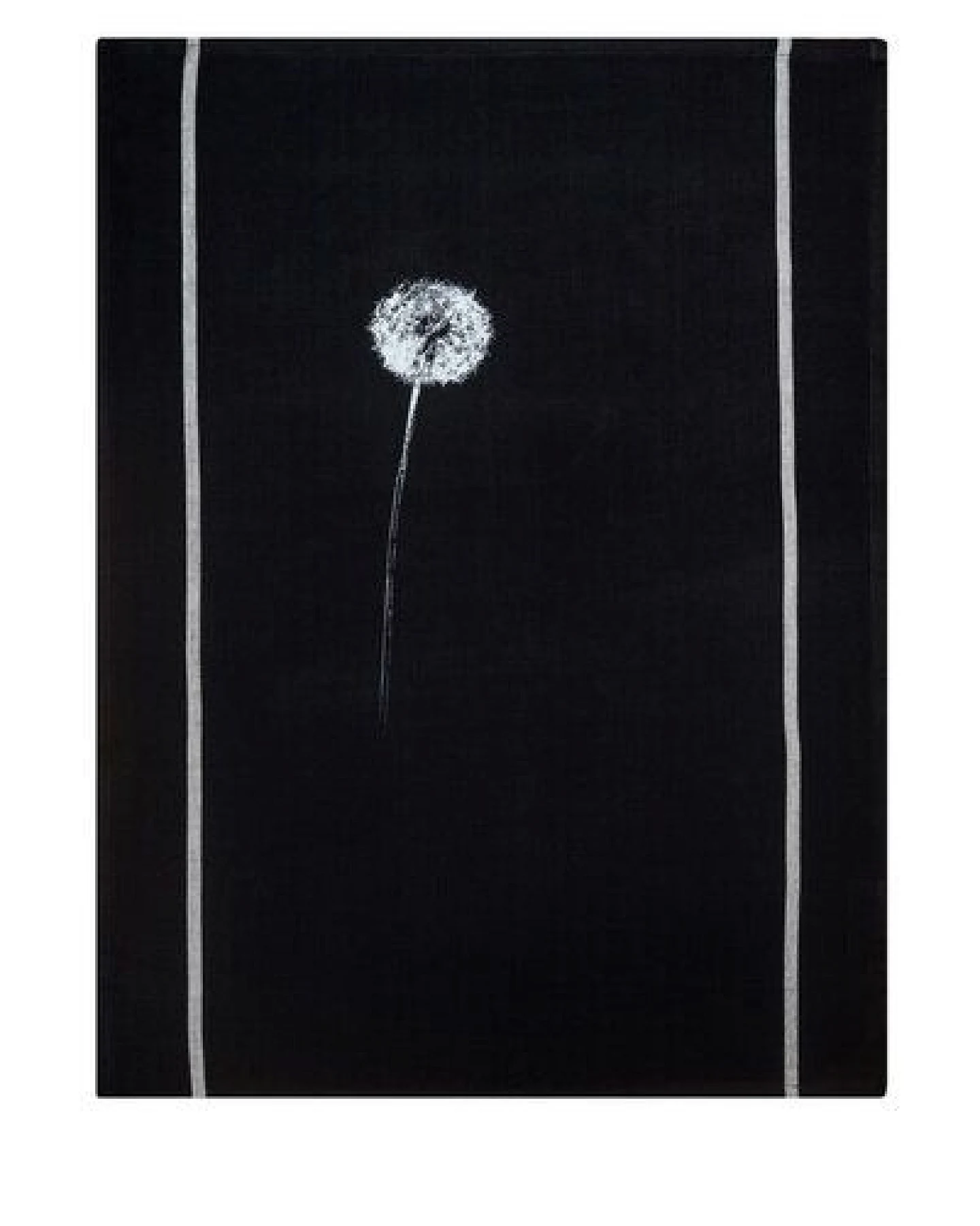 Hirschkind Bio & Fair-Trade-Geschirrtuch "Pusteblume", schwarz – Ansicht 2