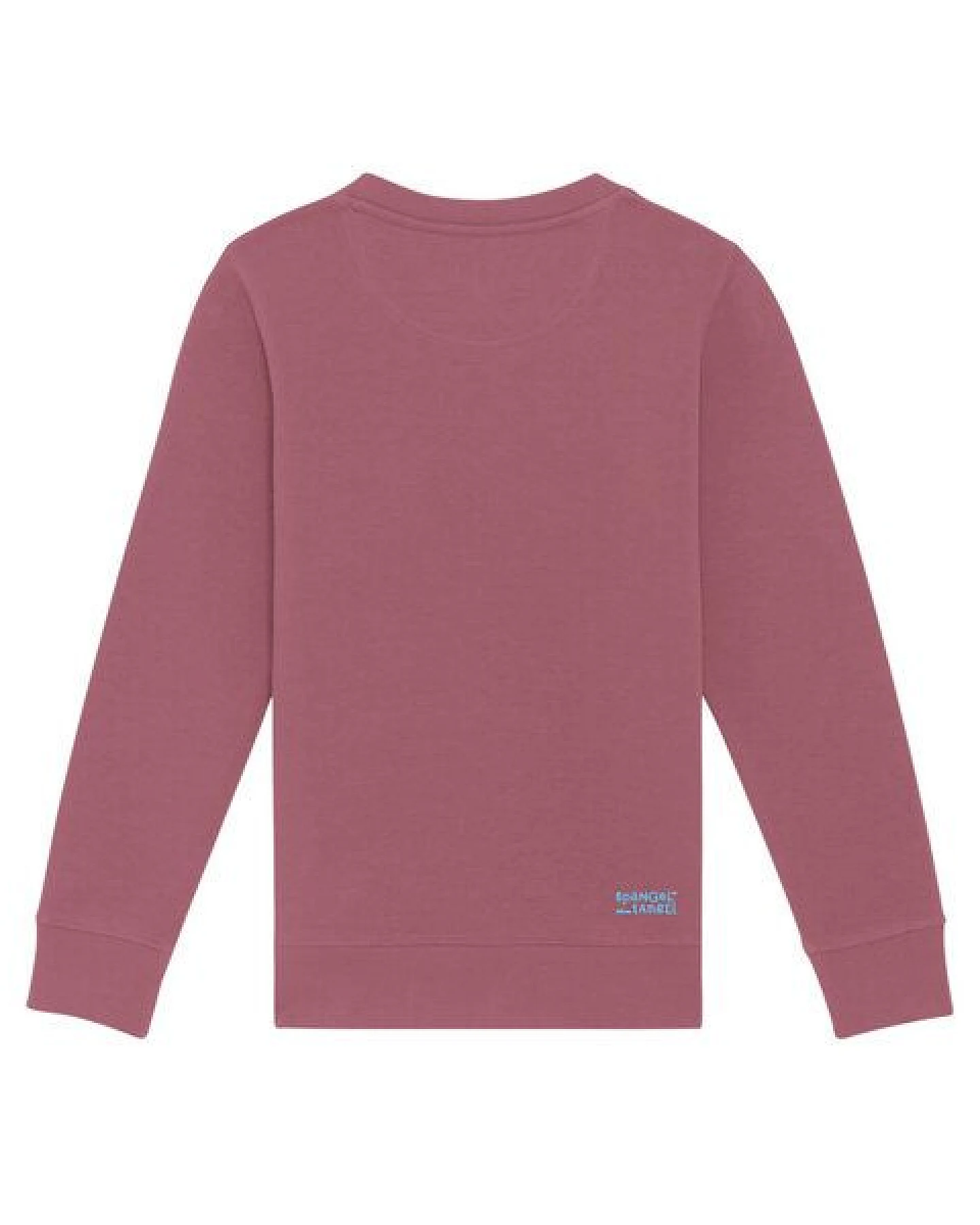 Spangeltangel Kinder-Sweatshirt "Axolotl" – Ansicht 4