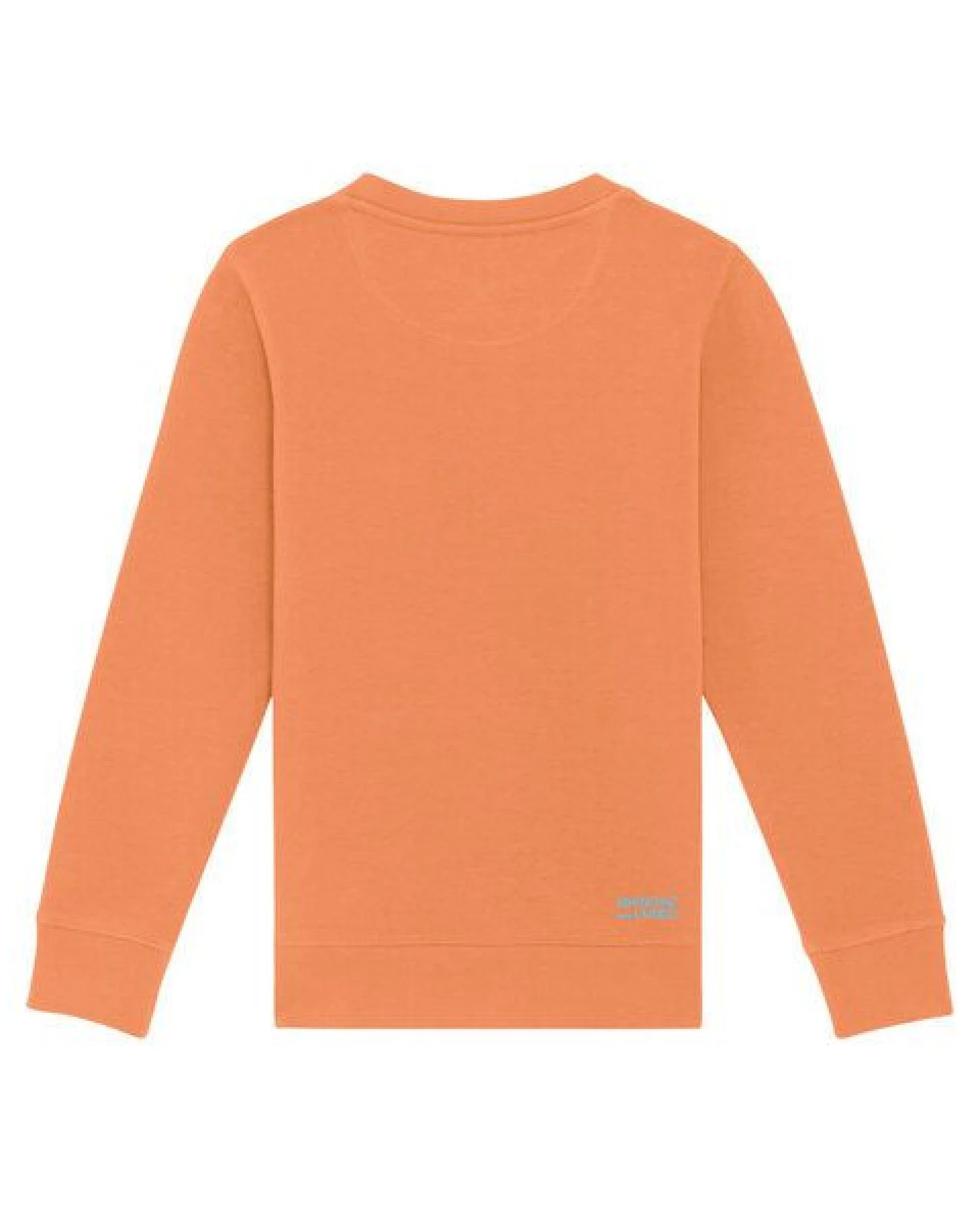 Spangeltangel Kinder-Sweatshirt "Axolotl" – Ansicht 4