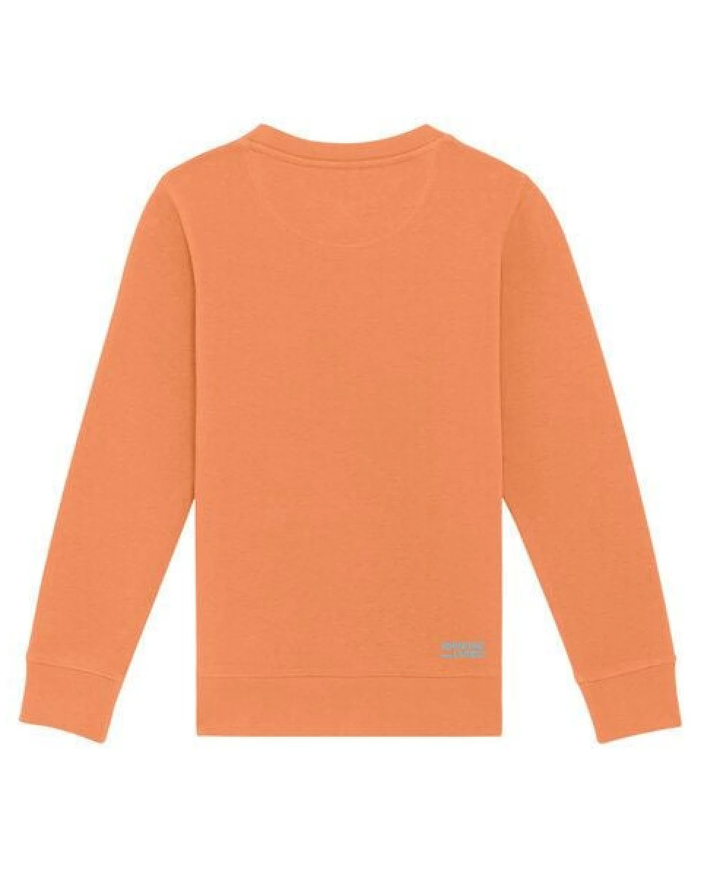 Spangeltangel Kinder-Sweatshirt "Axolotl" – Ansicht 4