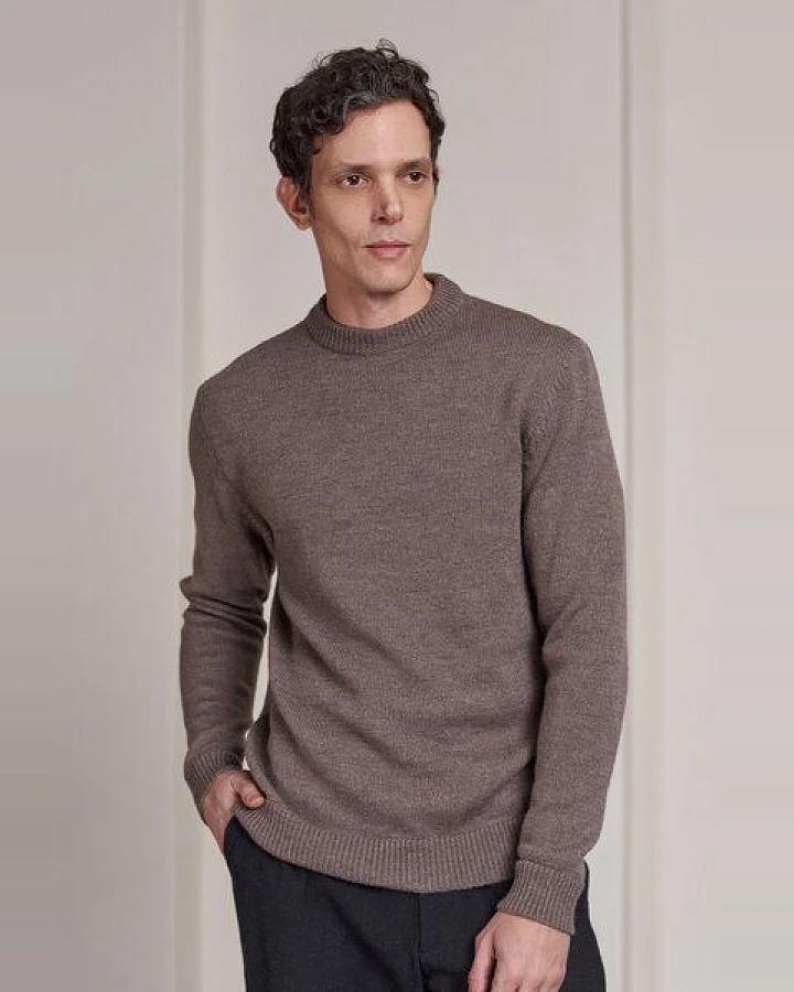 About Companions Pullover Morten Eco Merino
