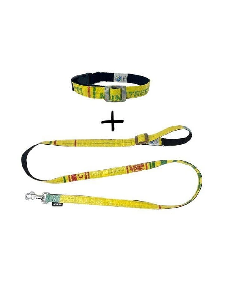 GOOPSI Hundeleine ARUGAM mit Halsband Gr. M (32-42cm) im Set - Gelb