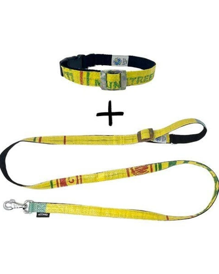 GOOPSI Hundeleine ARUGAM mit Halsband Gr. M (32-42cm) im Set - Gelb
