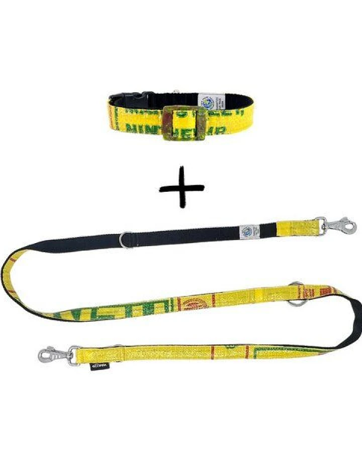 GOOPSI Hundeleine LANKA mit Halsband Gr. M (32-42 cm) im Set - Gelb