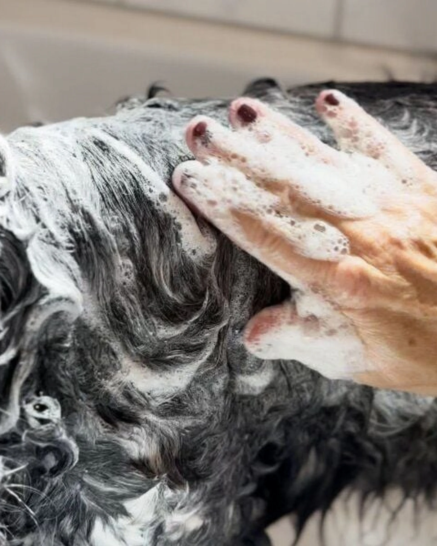 GOOPSI Veganes Hundeshampoo / Shampooseife mit Aprikosenkernöl - 150ml – Ansicht 4