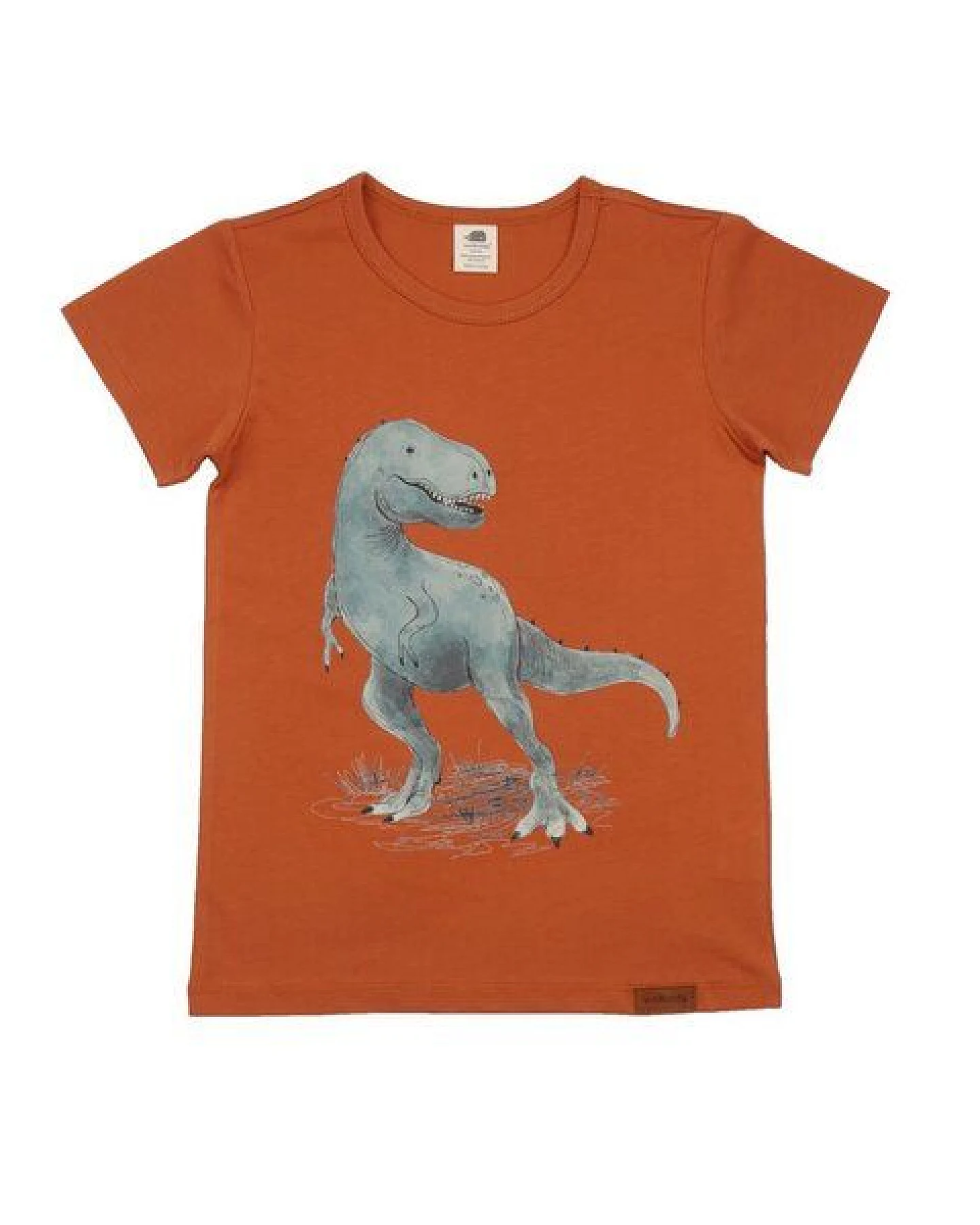 Baby T-Shirt GOTS zertifiziert Bio-Baumwolle 95/5 Elasthan Braun Dino-Print „Dinosaurland“ weich – Walkiddy – Ansicht 2