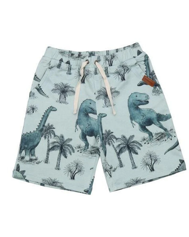 Kinder Shorts GOTS zertifiziert Bio-Baumwolle, Grün, Dinosaurier-Muster, Walkiddy