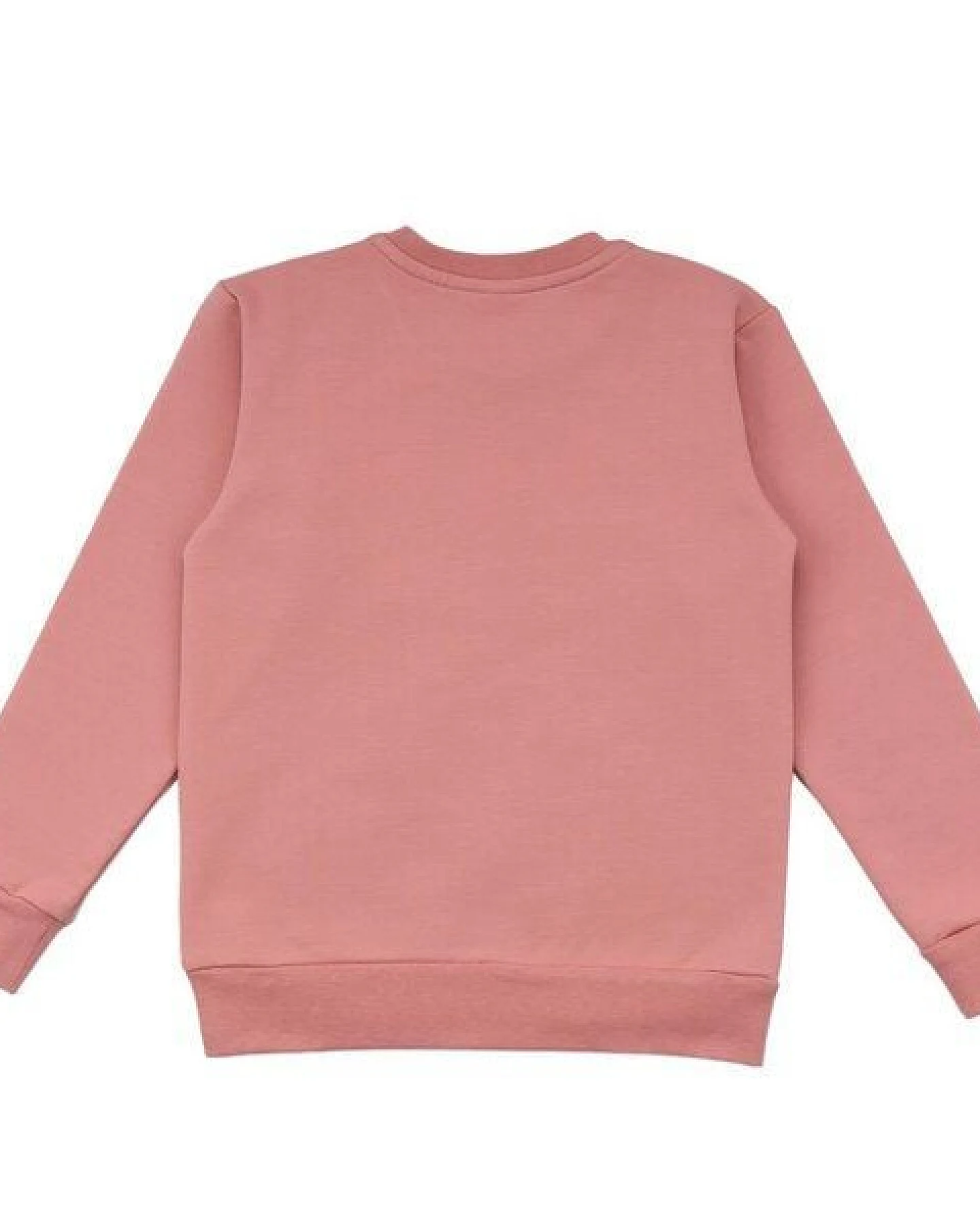 Baby Sweatshirt GOTS zertifiziert, Bio-Baumwolle, rosé, „Cheerful Flowers“, Blumen-Print, weich – Walkiddy – Ansicht 3