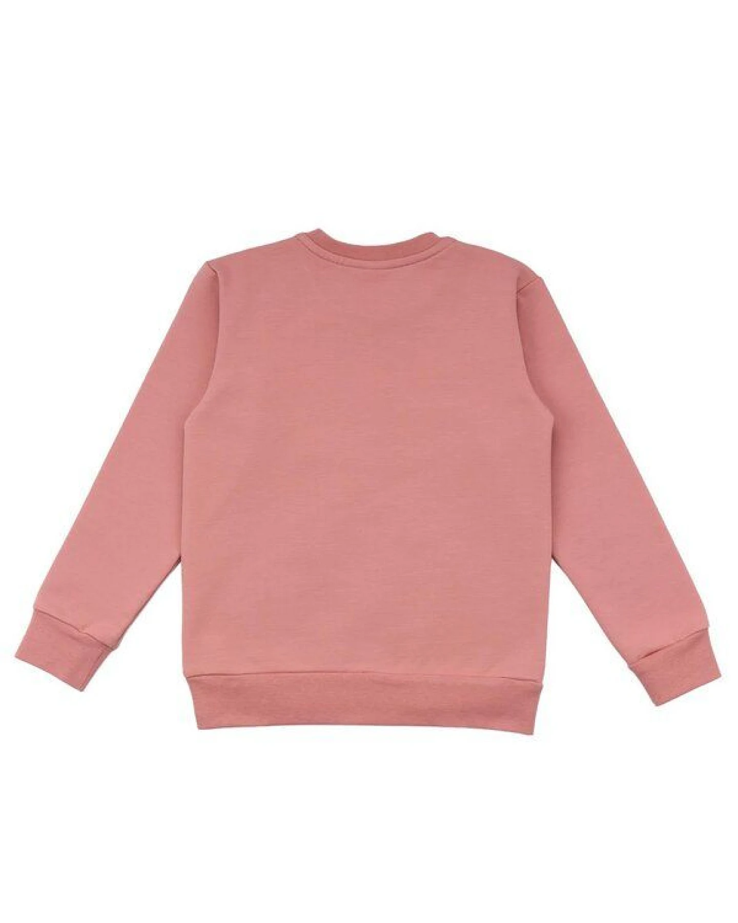 Baby Sweatshirt GOTS zertifiziert, Bio-Baumwolle, rosé, „Cheerful Flowers“, Blumen-Print, weich – Walkiddy – Ansicht 3