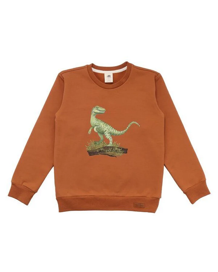 Kinder Sweatshirt GOTS zertifiziert, braun, Dino-Print, weich & elastisch – Walkiddy