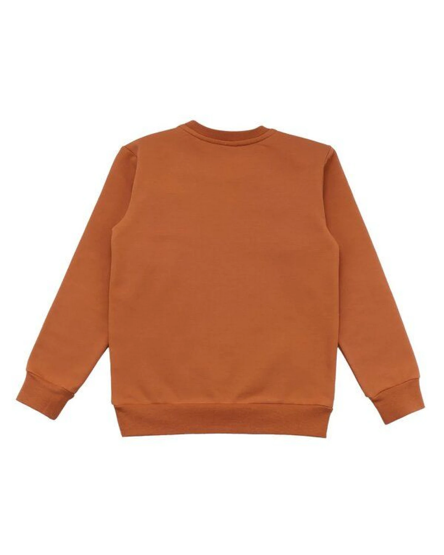 Kinder Sweatshirt GOTS zertifiziert, braun, Dino-Print, weich & elastisch – Walkiddy – Ansicht 3