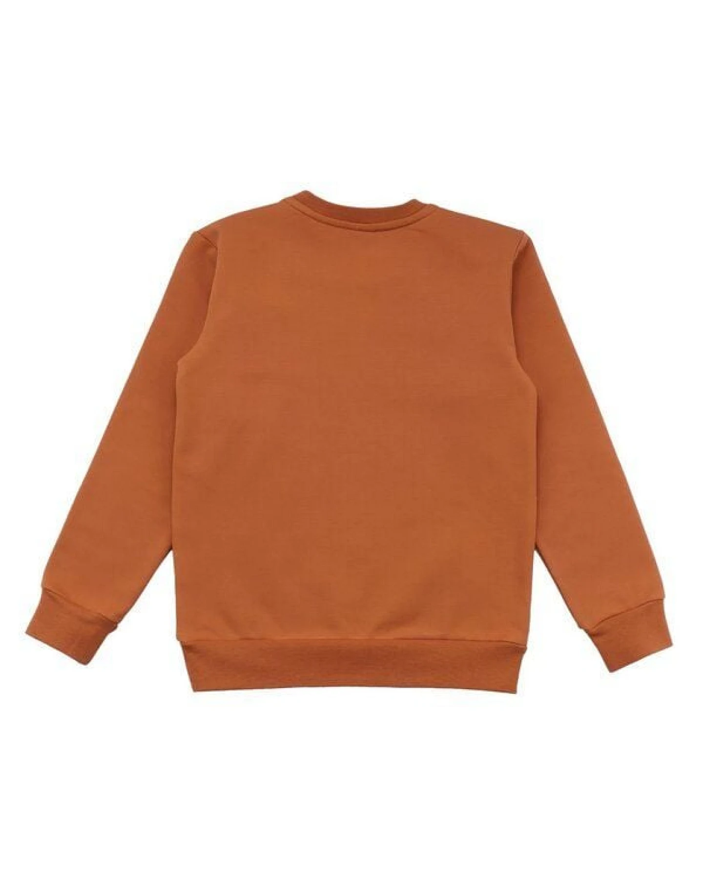 Kinder Sweatshirt GOTS zertifiziert, braun, Dino-Print, weich & elastisch – Walkiddy – Ansicht 3