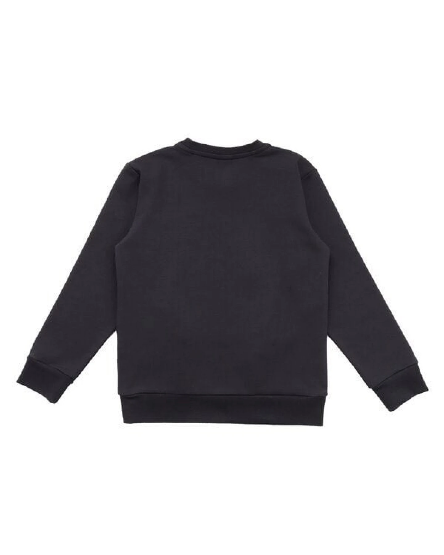Bio-Baumwoll-Sweatshirt Baby Anthrazit Shire Horses Walkiddy GOTS-zertifiziert elastisch und bequem – Ansicht 3