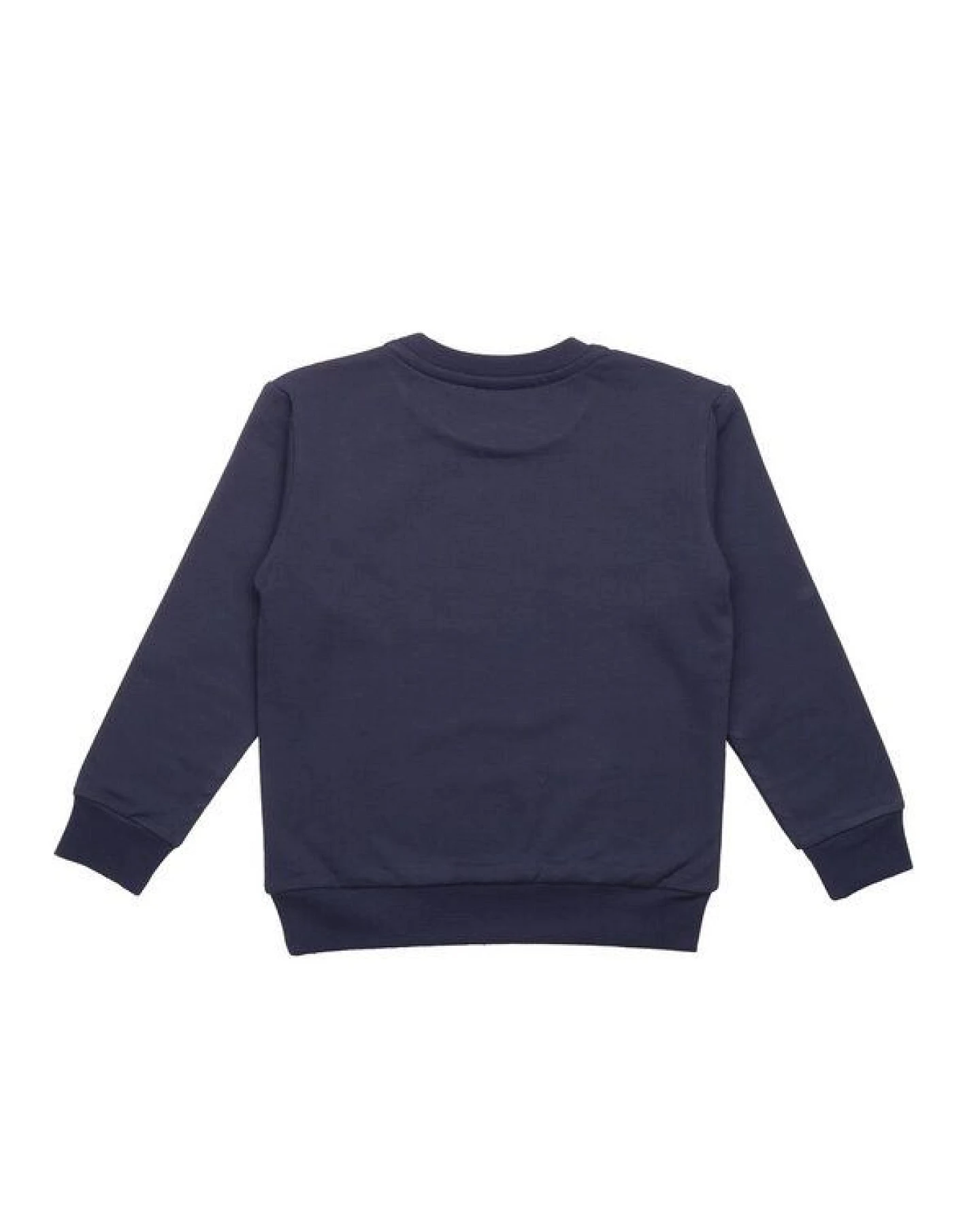 Baby Sweatshirt GOTS zertifiziert Bio-Baumwolle Blau Rundhals mit Motivprint bequem weich – Walkiddy – Ansicht 3