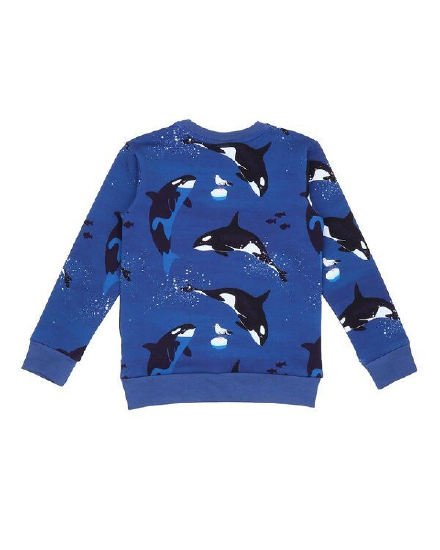 Kinder Sweatshirt GOTS zertifiziert, dunkelblau, Orca-Allover, Bio-Baumwolle, weich – Walkiddy – Ansicht 3