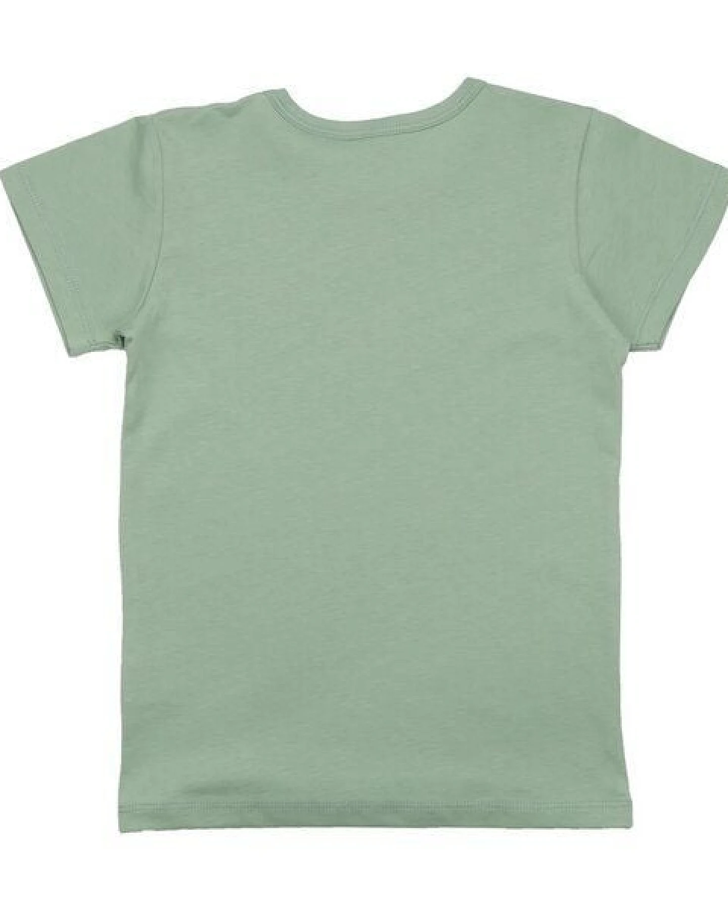 Kinder T-Shirt GOTS zertifiziert Bio-Baumwolle Grün Flamingo-Motiv „Pinky Birds“ Kurzarm weich – Walkiddy – Ansicht 3