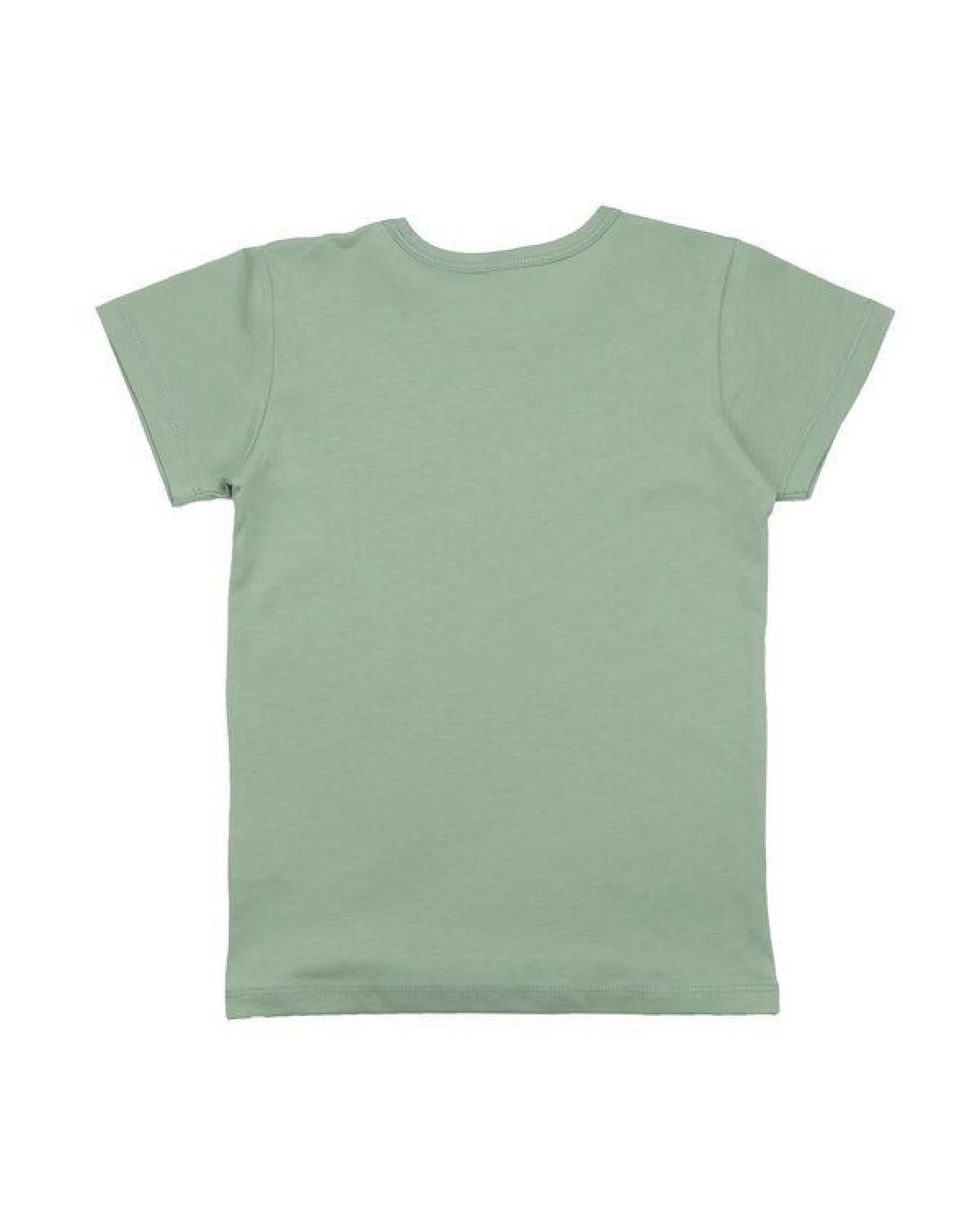 Kinder T-Shirt GOTS zertifiziert Bio-Baumwolle Grün Flamingo-Motiv „Pinky Birds“ Kurzarm weich – Walkiddy – Ansicht 3