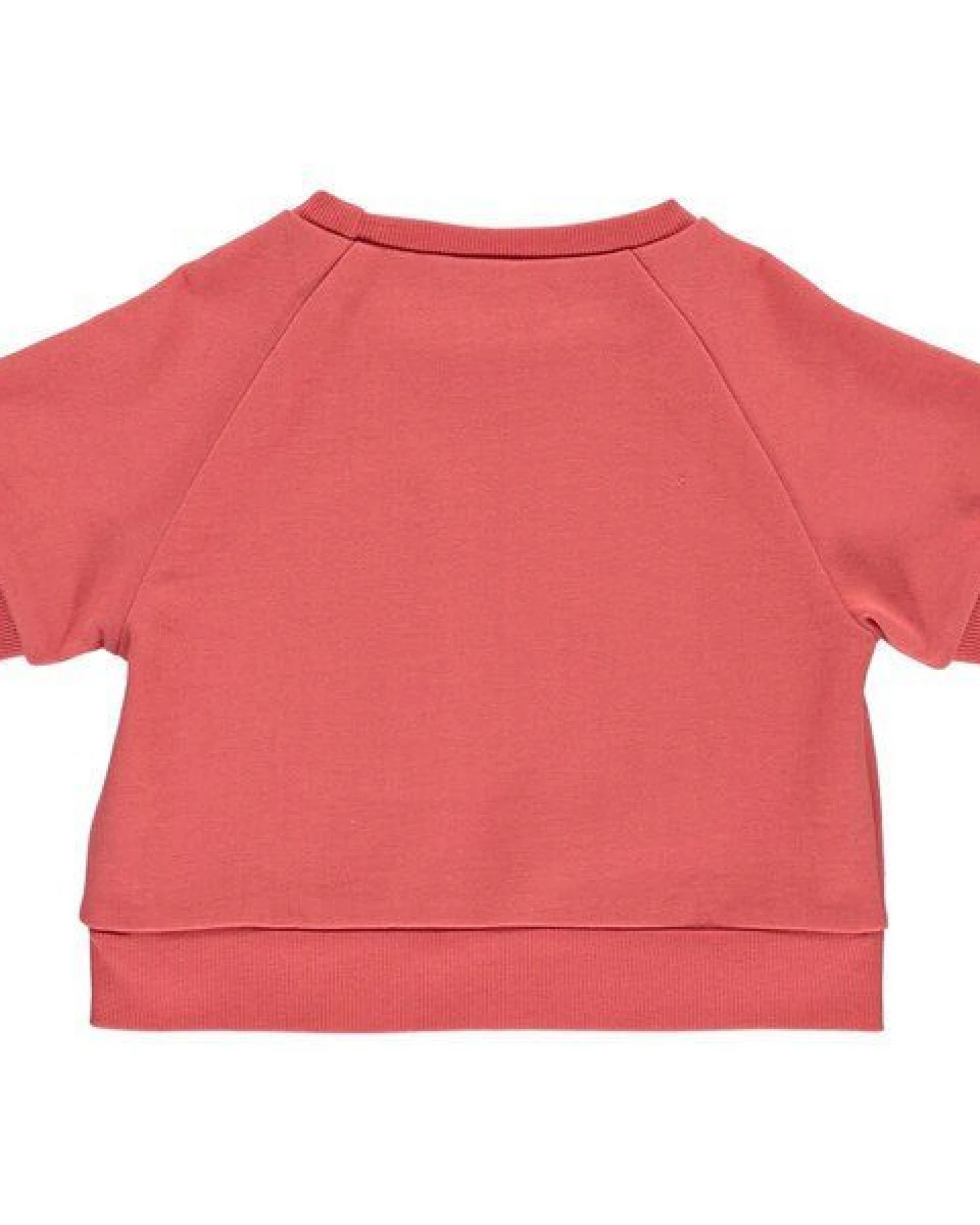 Fred's World by Green Cotton "Green Cotton" Sweatshirt Cranberry – Ansicht 3
