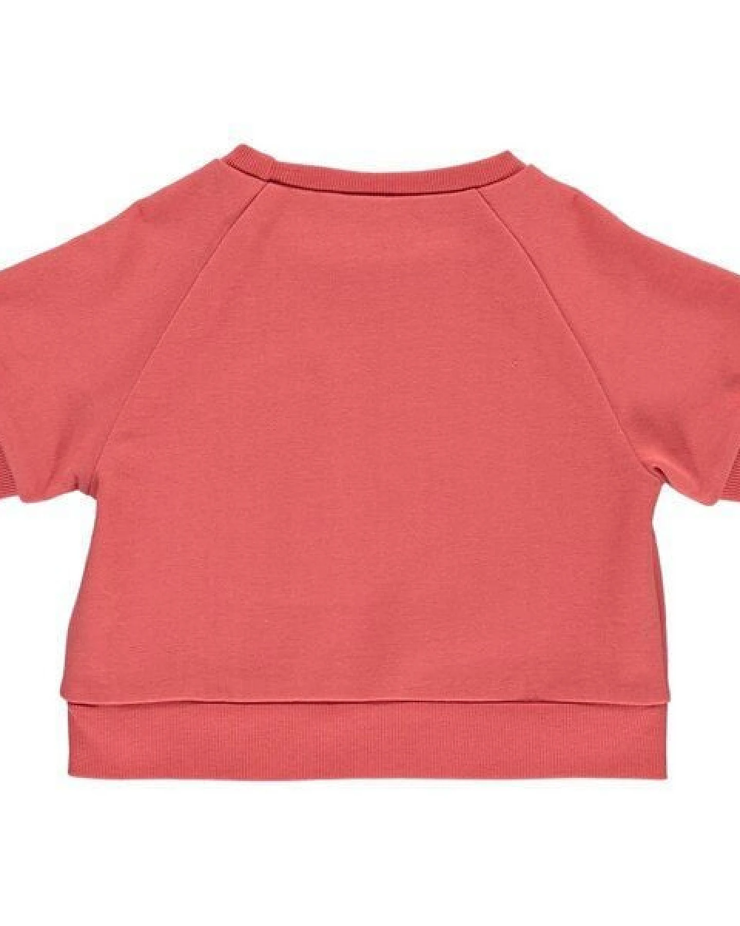 Fred's World by Green Cotton "Green Cotton" Sweatshirt Cranberry – Ansicht 3
