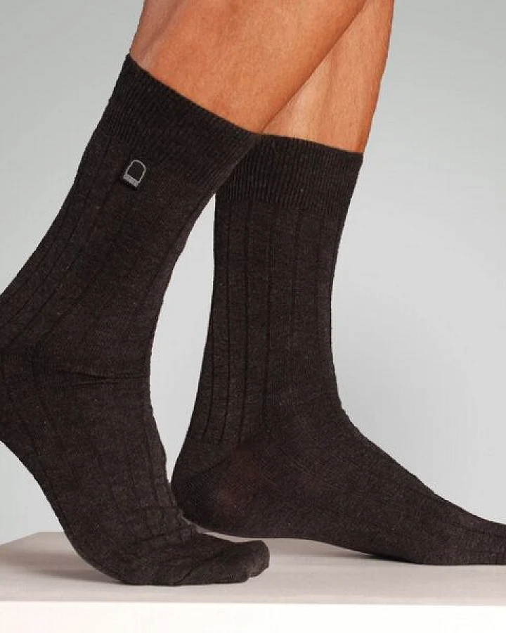 Dailybread Bio-Business-Socken gerippt, 2er Pack