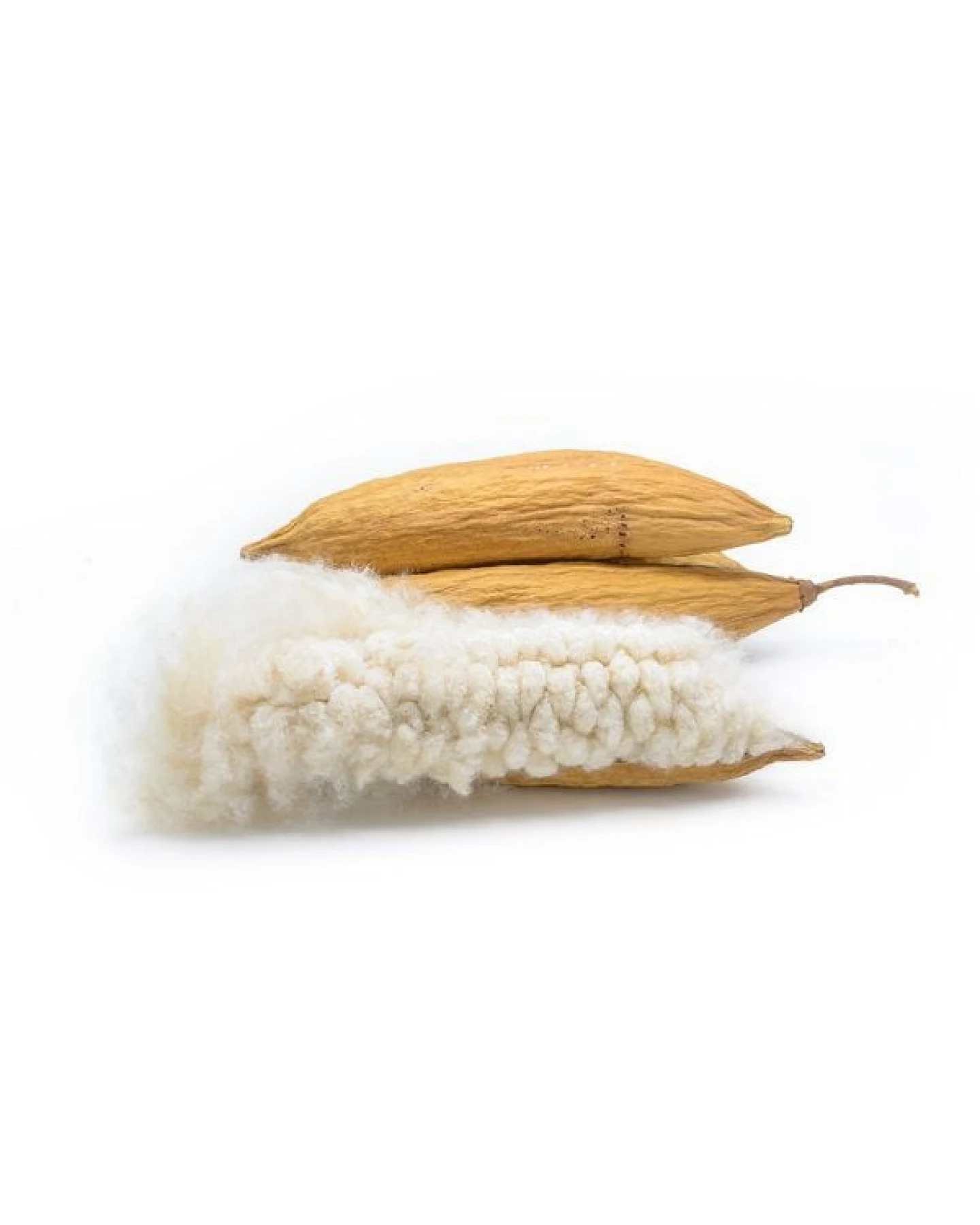 purnatour Kapok Sommerbettdecke - bio organic - – Ansicht 4