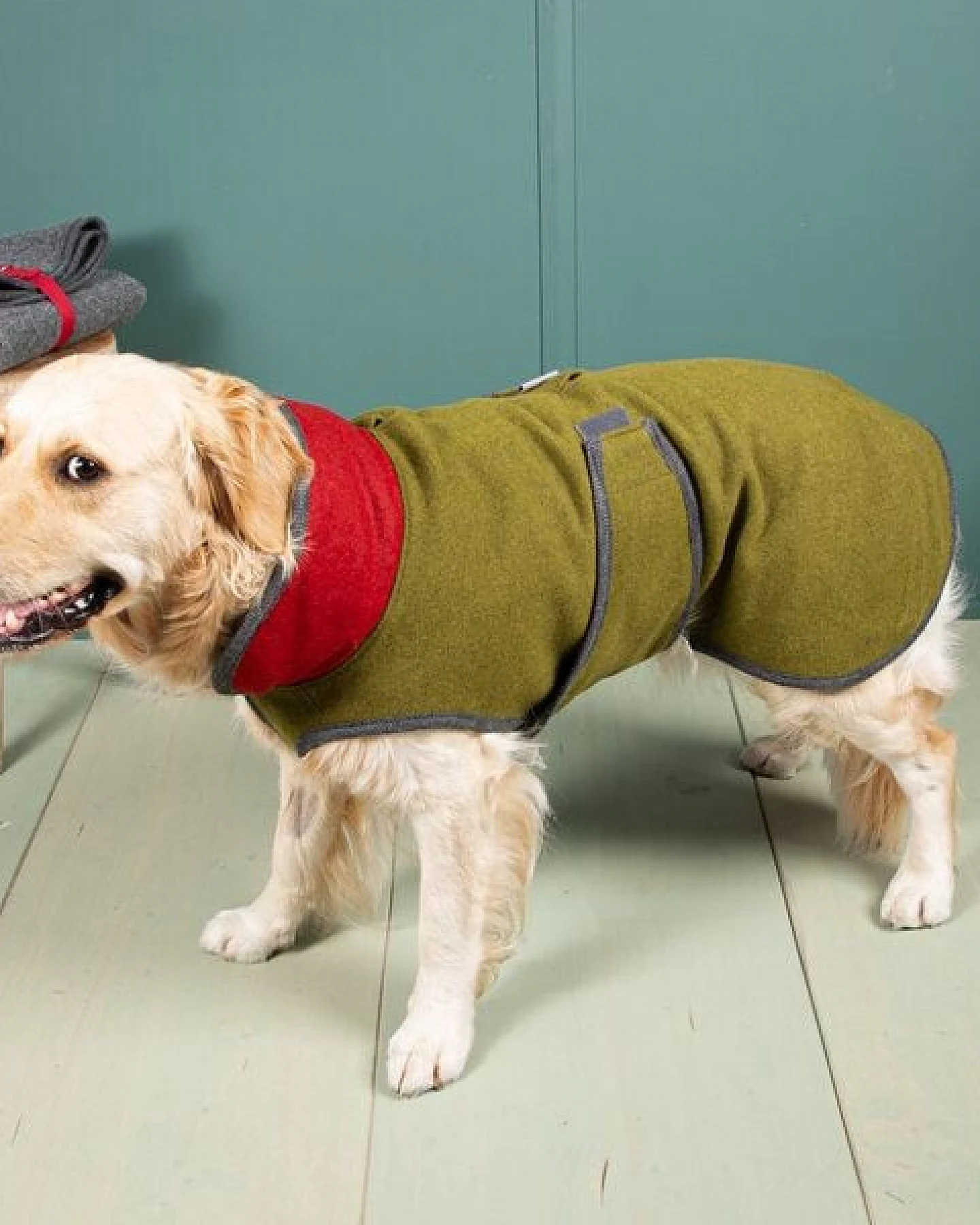 nahtur-design Hundemantel "Loden" – Ansicht 4