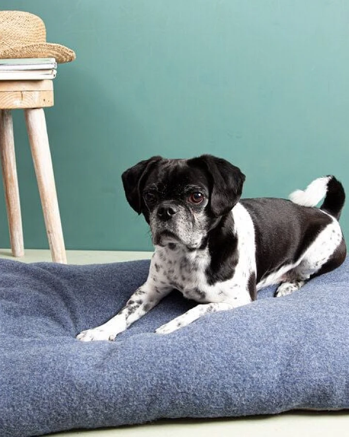 nahtur-design Hunde- und Katzenkissen
