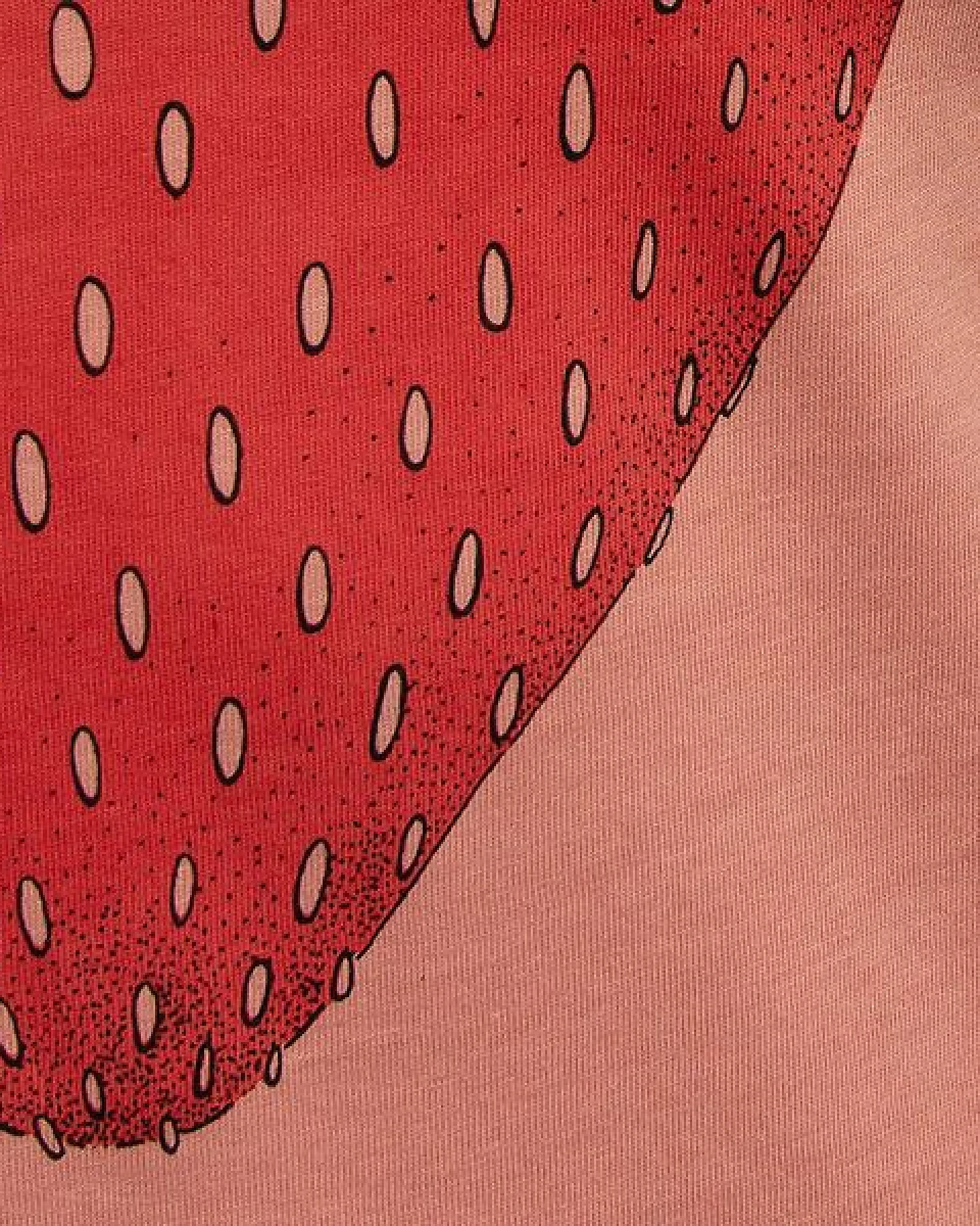 Cmig Kinder T-Shirt Erdbeere in rose clay – Ansicht 3