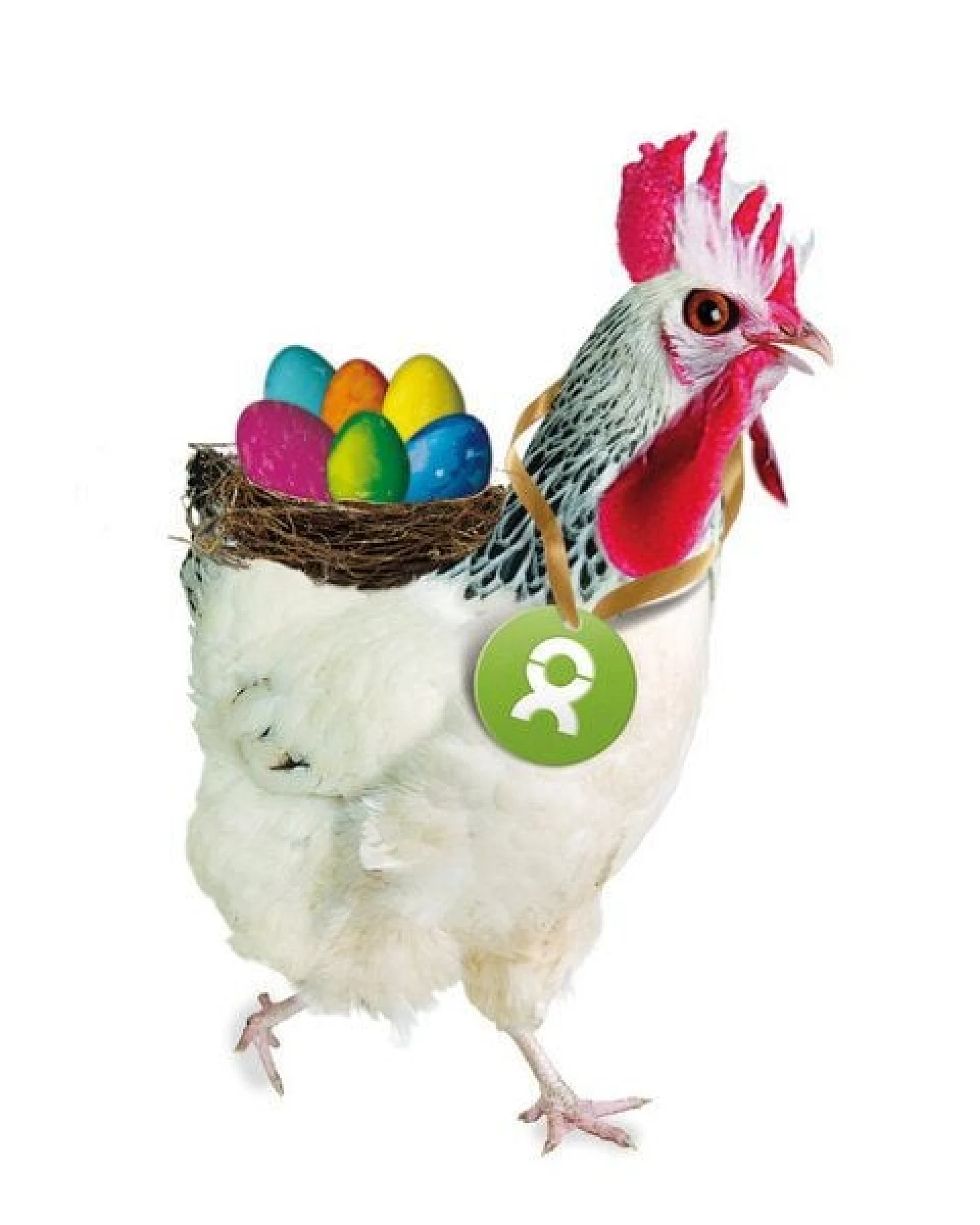 OxfamUnverpackt Spenden-Geschenk "Huhn" (Osterkarte mit Magnet) – Ansicht 3