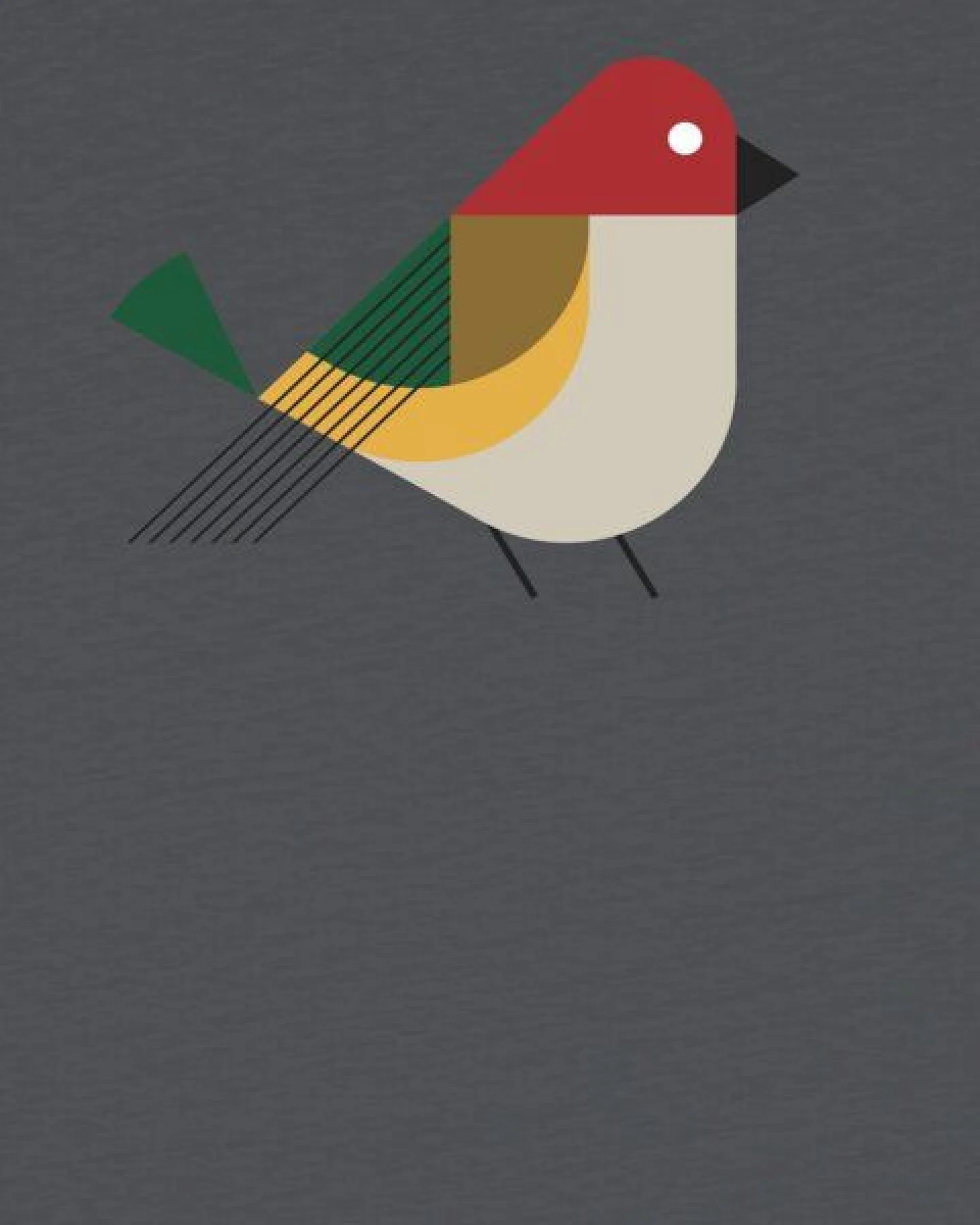 watabout.kids T-Shirt Kinder Vogel – Ansicht 2