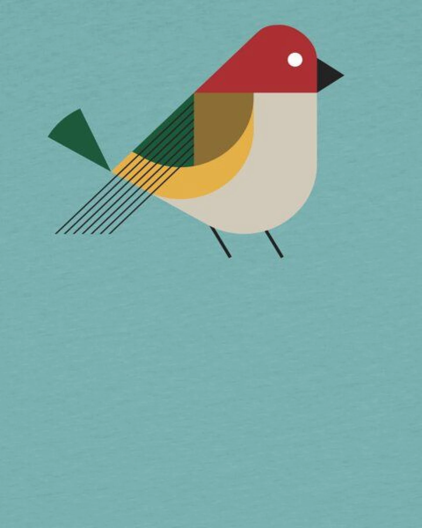 watabout.kids T-Shirt Kinder Vogel – Ansicht 2