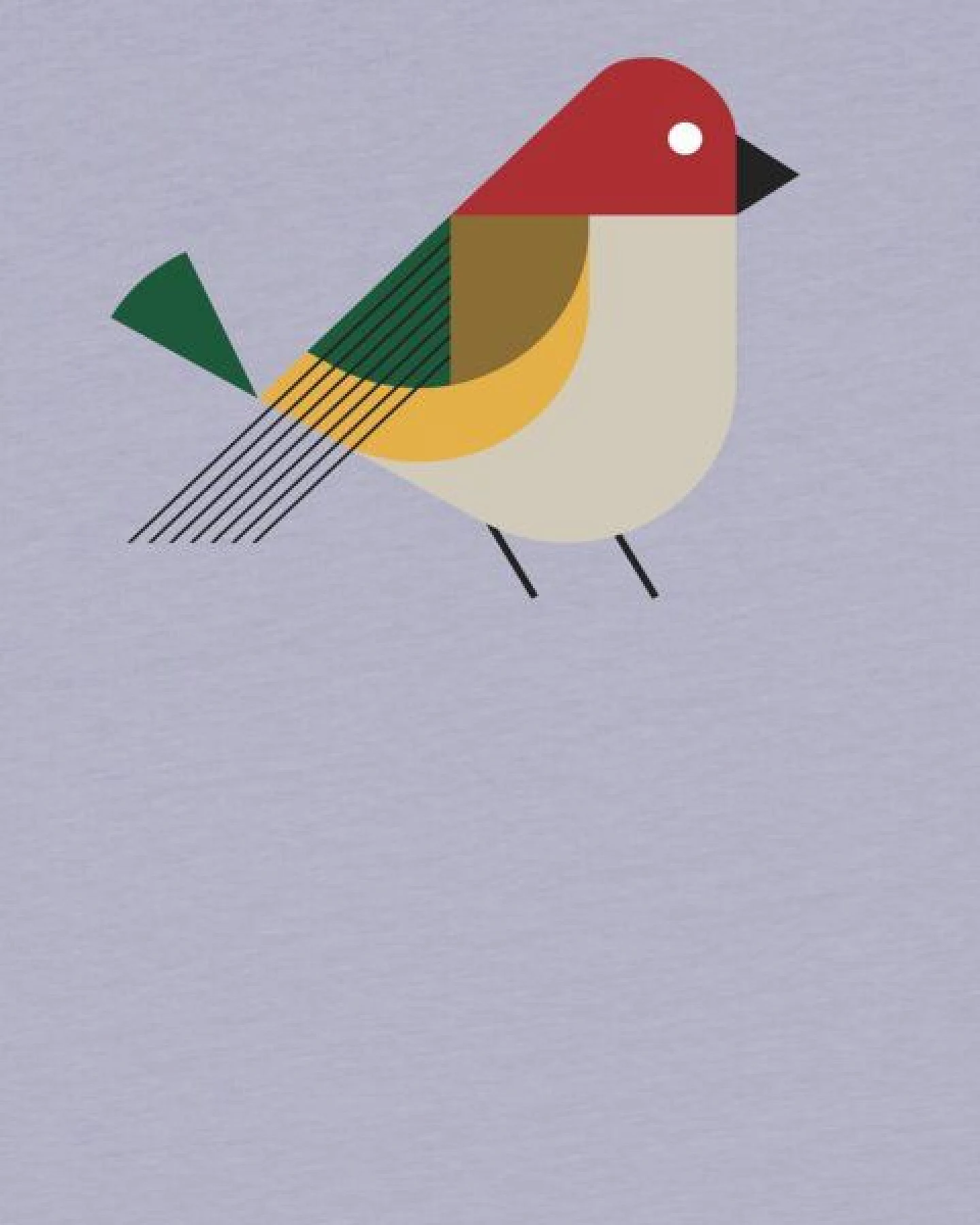 watabout.kids T-Shirt Kinder Vogel – Ansicht 2