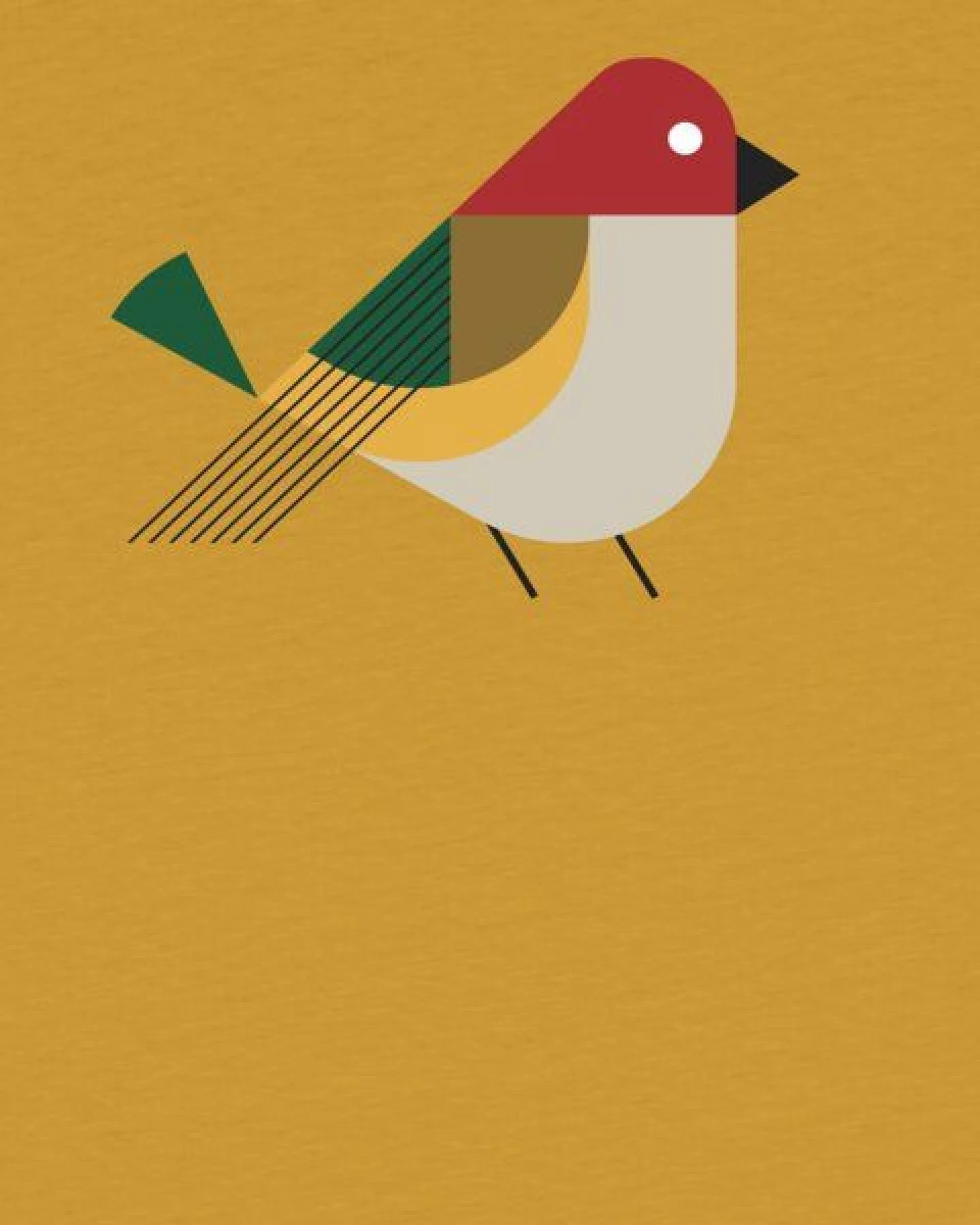 watabout.kids T-Shirt Kinder Vogel – Ansicht 2