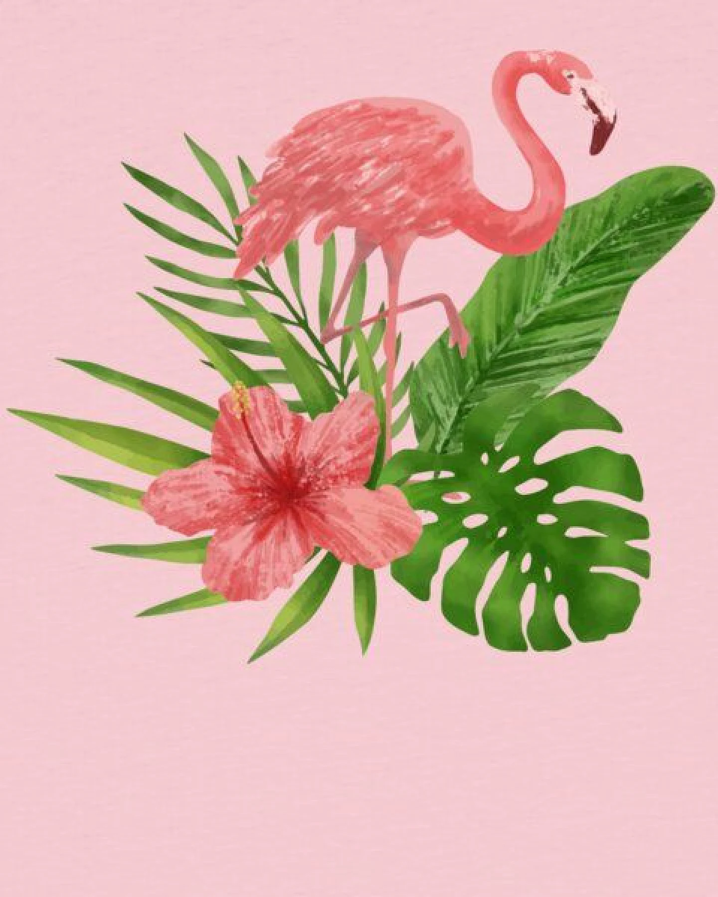 watabout.kids T-Shirt Kinder Flamingo – Ansicht 2