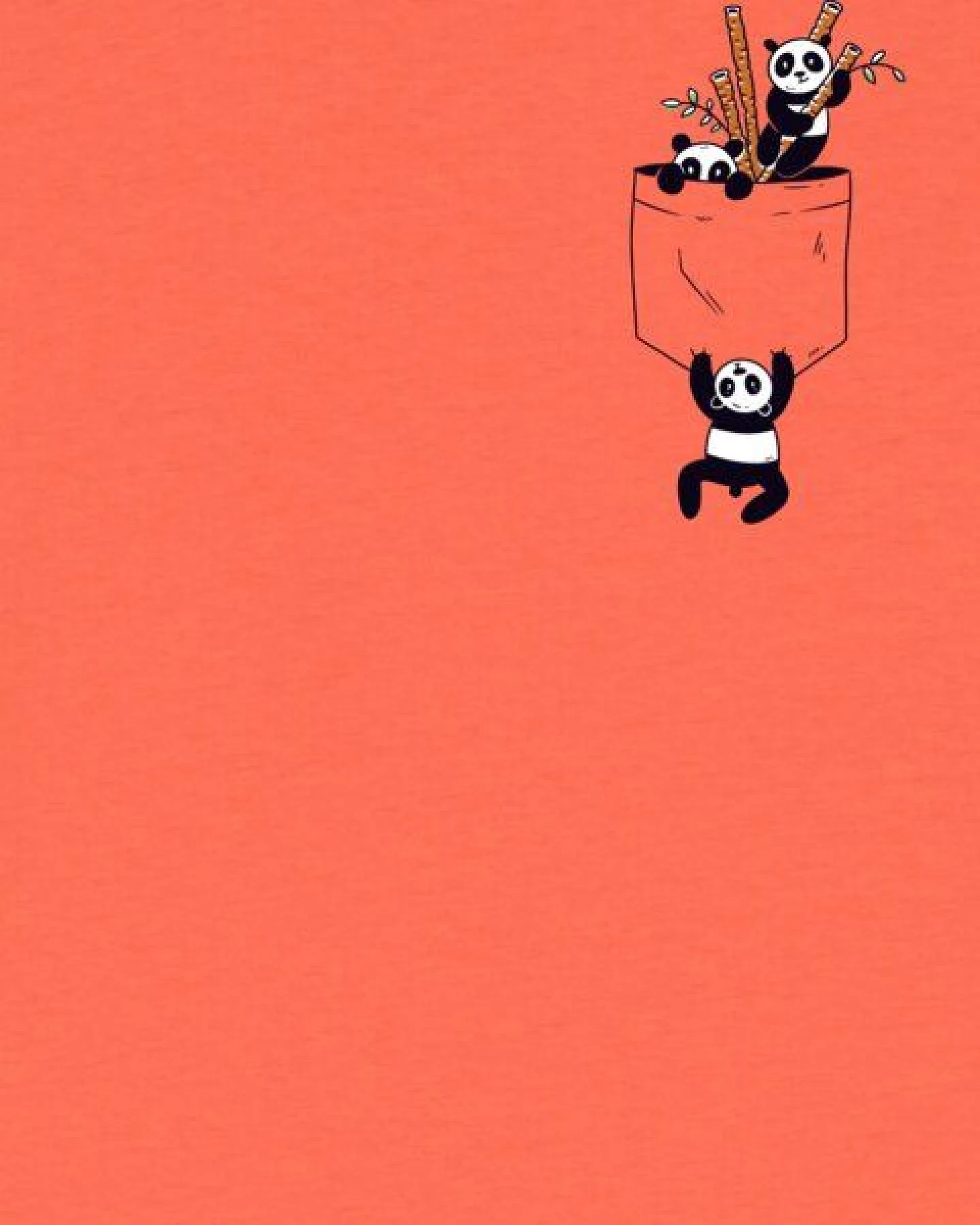 watabout.kids T-Shirt Kinder Pocket Pandas – Ansicht 2