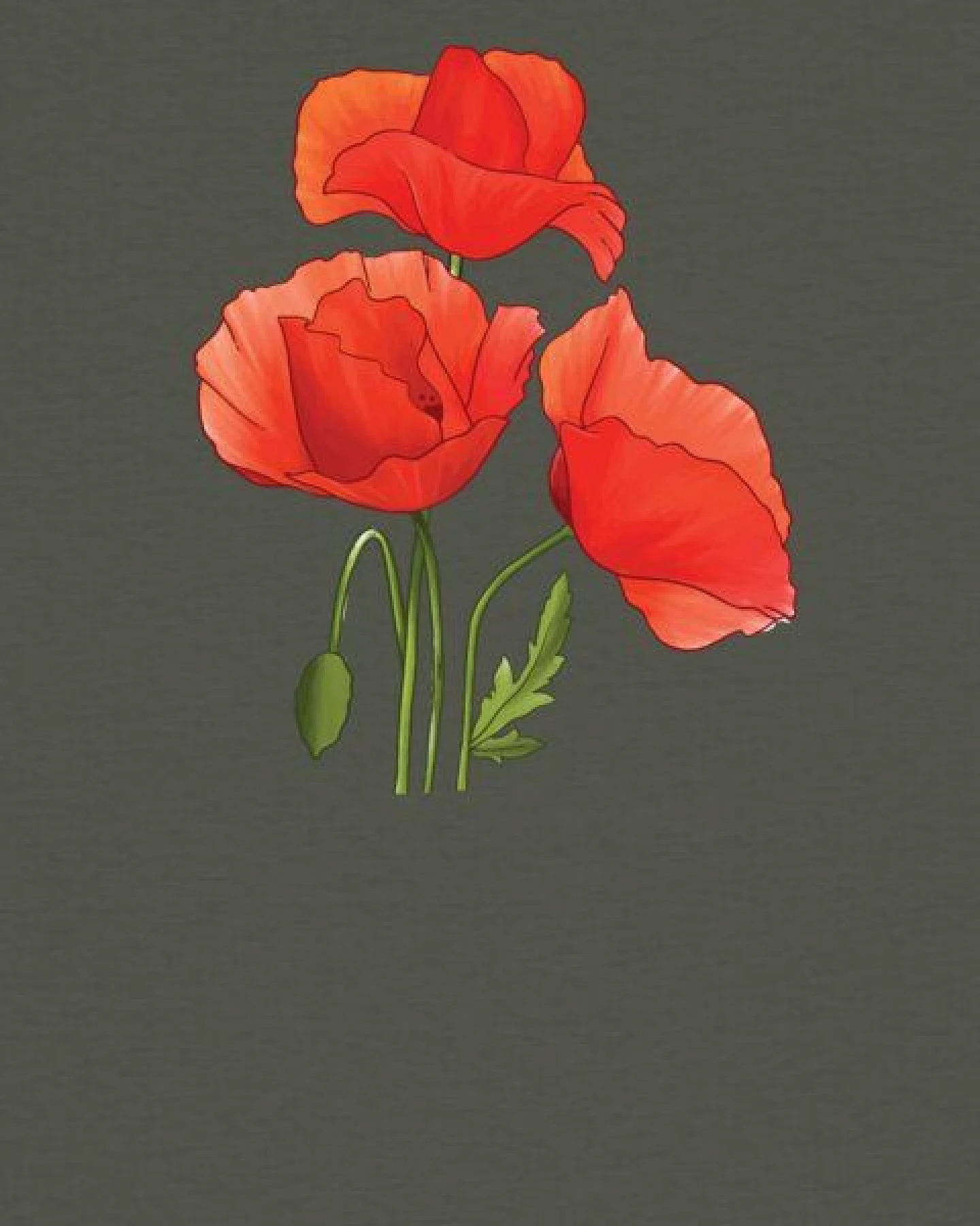 watapparel T-Shirt Frauen Poppy Flowers – Ansicht 3