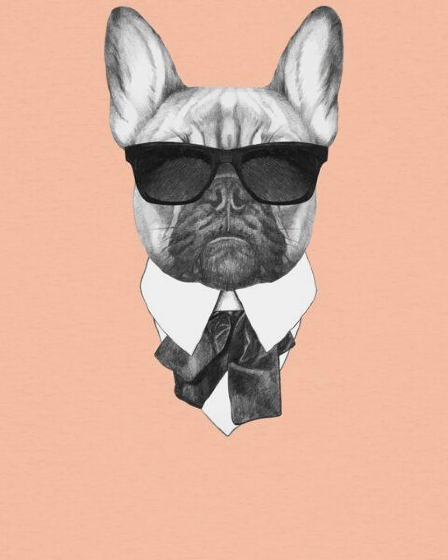 watapparel T-Shirt Frauen Ein fescher Hund – Ansicht 3