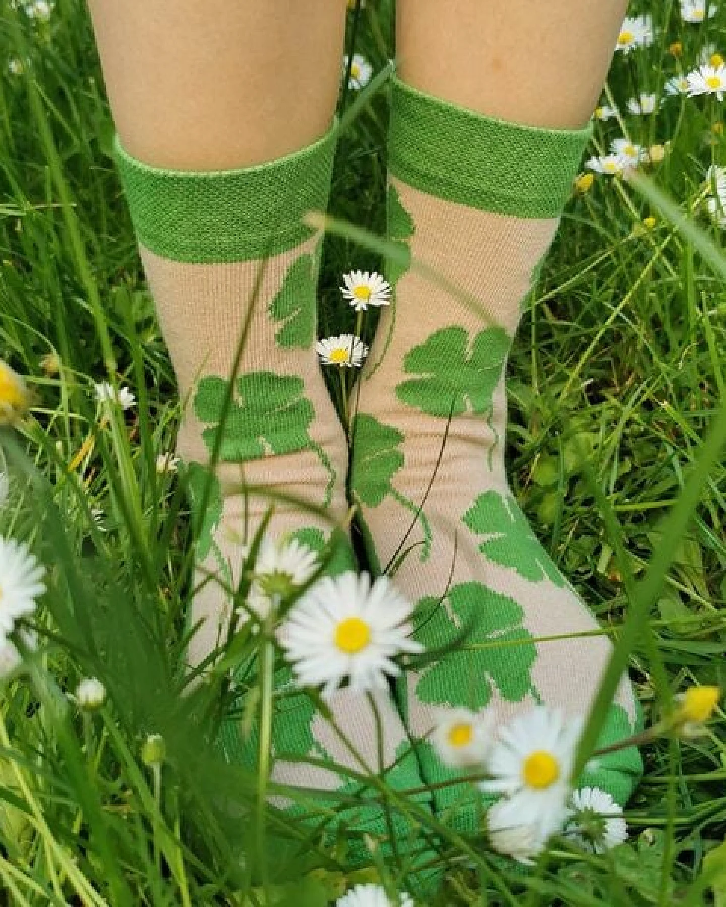 Fräulein Prusselise Kleeblatt Glück Socken grün beige bunt – Ansicht 3