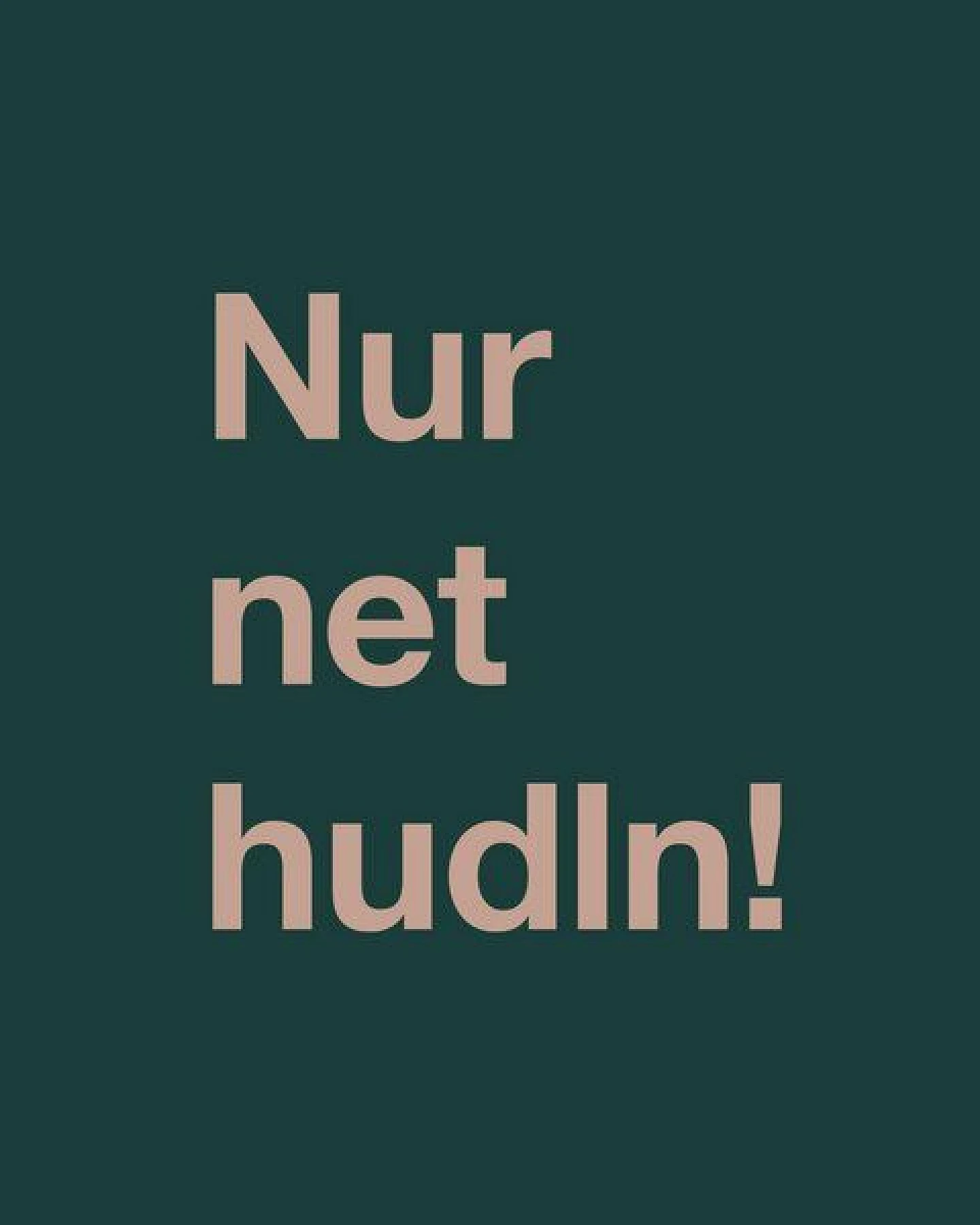GARY MASH T-Shirt Nur net hudln! aus Biobaumwolle – Ansicht 4