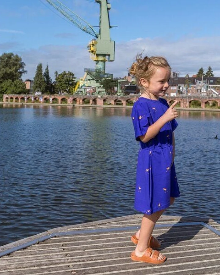 Harper Dress Bird von baba Kidswear