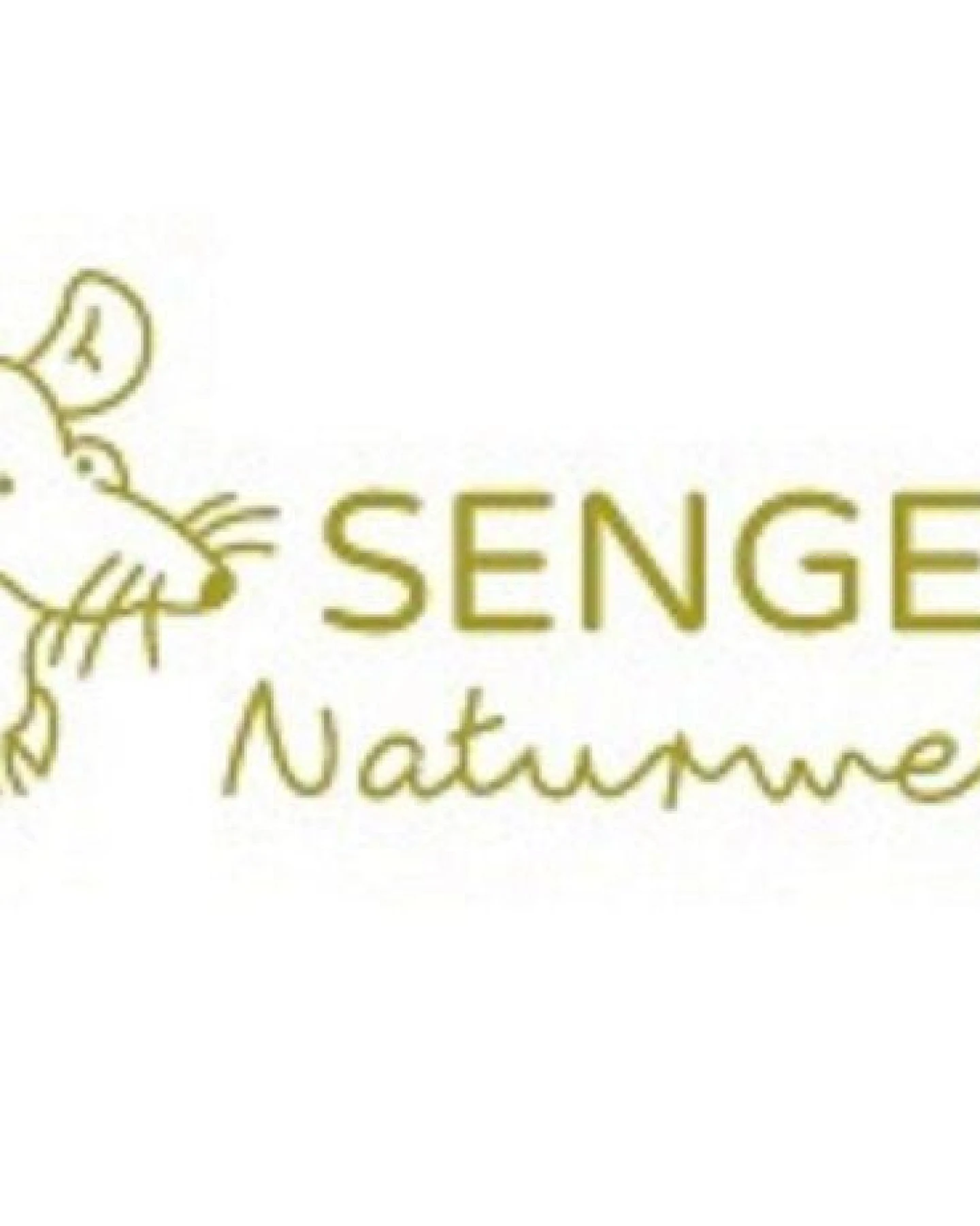 Senger Naturwelt Senger Kuscheltier Gans grau klein oder groß auch als Wärmekissen verwendbar – Ansicht 4