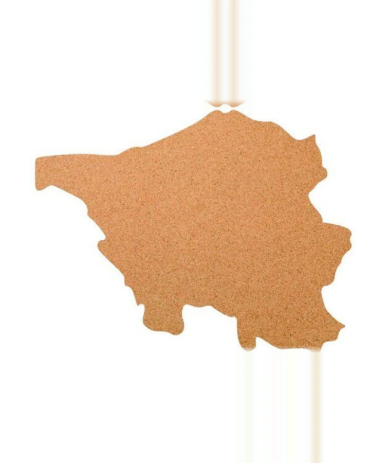 Kork-Deko Saarland als Pinnwand aus Kork XXL ca. 80x50 cm