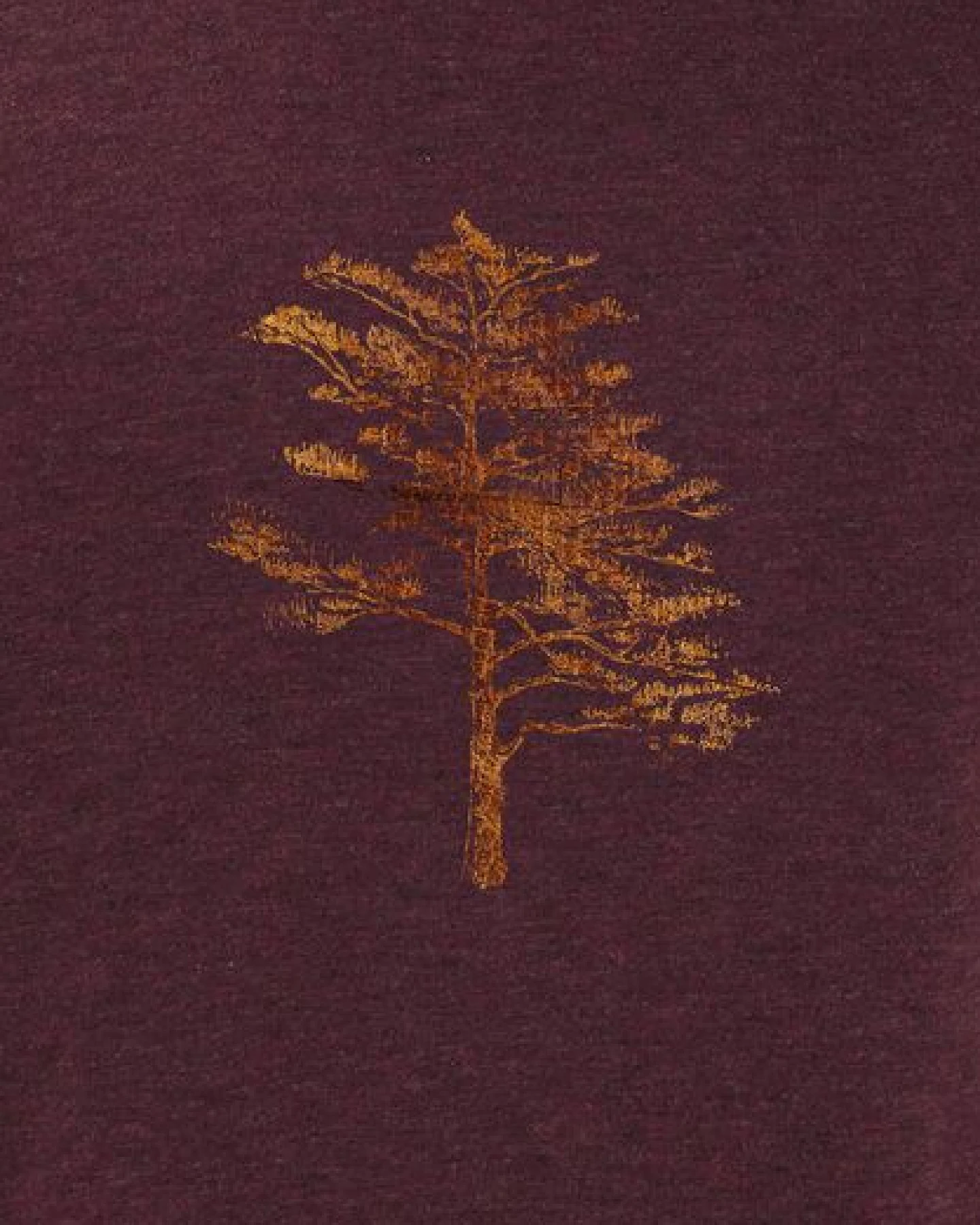 Kultgut Biofair- Artdesign Klassik Shirt / Little Tree in Woodoptik – Ansicht 3