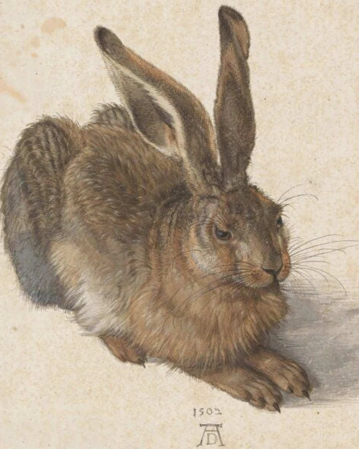 KUNSTSOKKEN Kunst Socken - Nahtlose Bunte Socken aus Bio-Baumwolle Mix - weihnachtsgeschenke für Künstler - Lustige Socken Geschenk – Ansicht 4